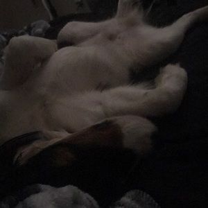 Meet your Posher, Jayson